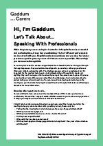 Speaking with Professionals Factsheet