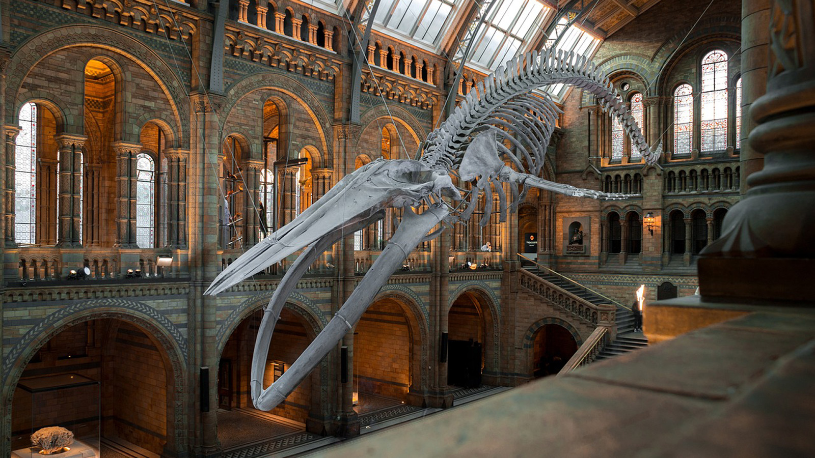 Visit a museum