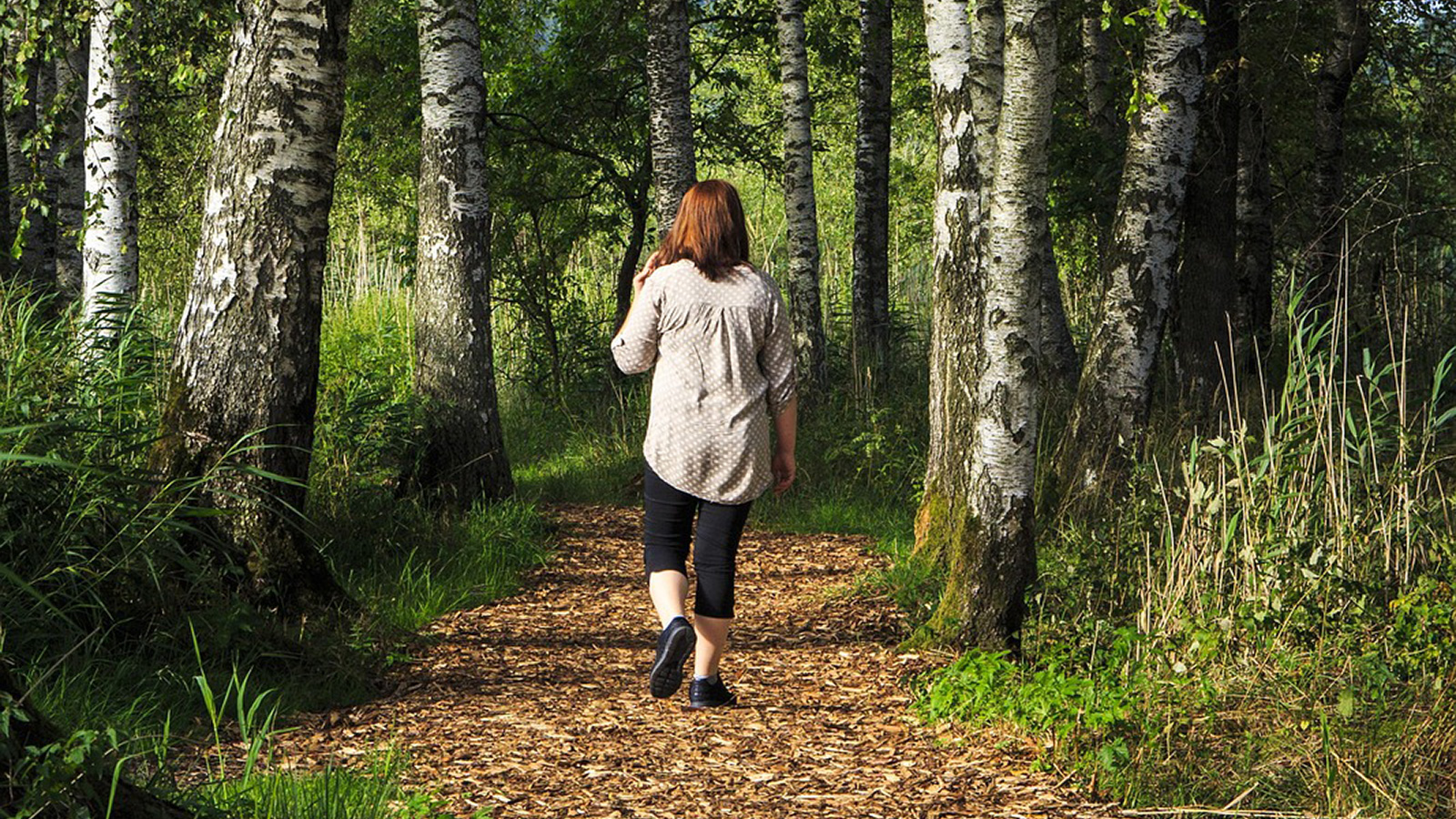Walk/Hike