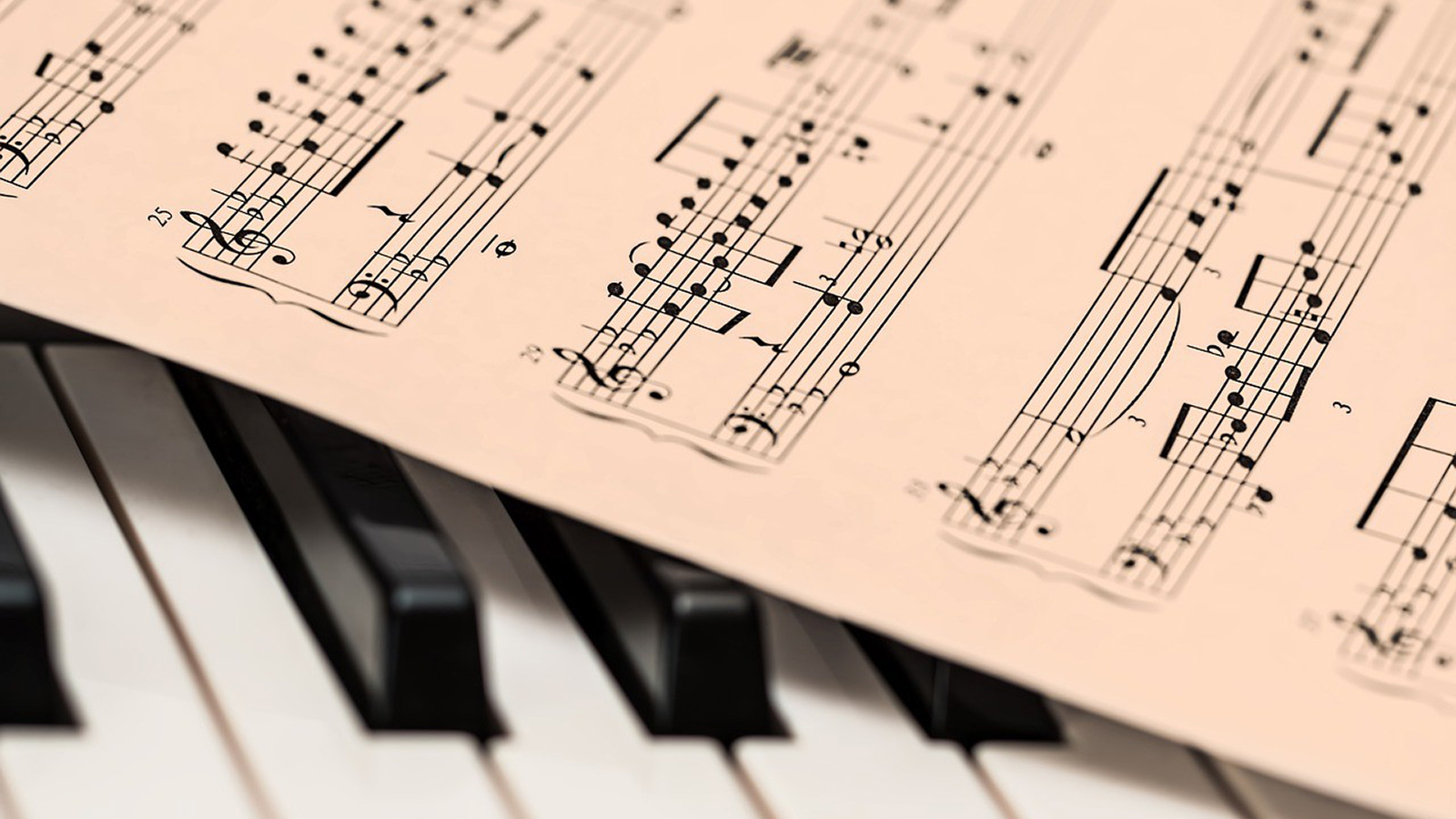 Learn an instrument
